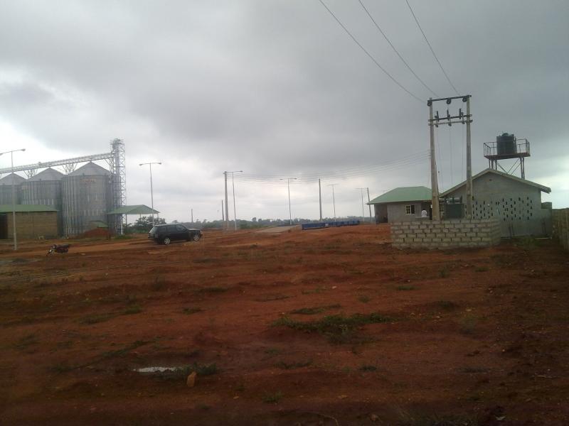 Site Picture